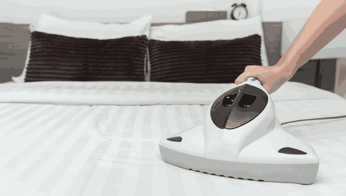 Professional Mattress Cleaning Ross Creek